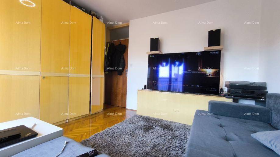 Heller Wohnbereich mit großem Wandschrank, Fernseher und Holzboden.