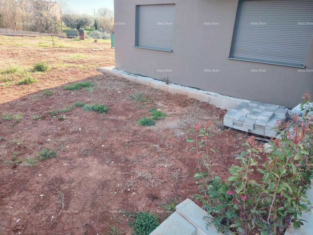 Unkultivierter Gartenbereich neben dem Gebäude mit Rollläden an den Fenstern.