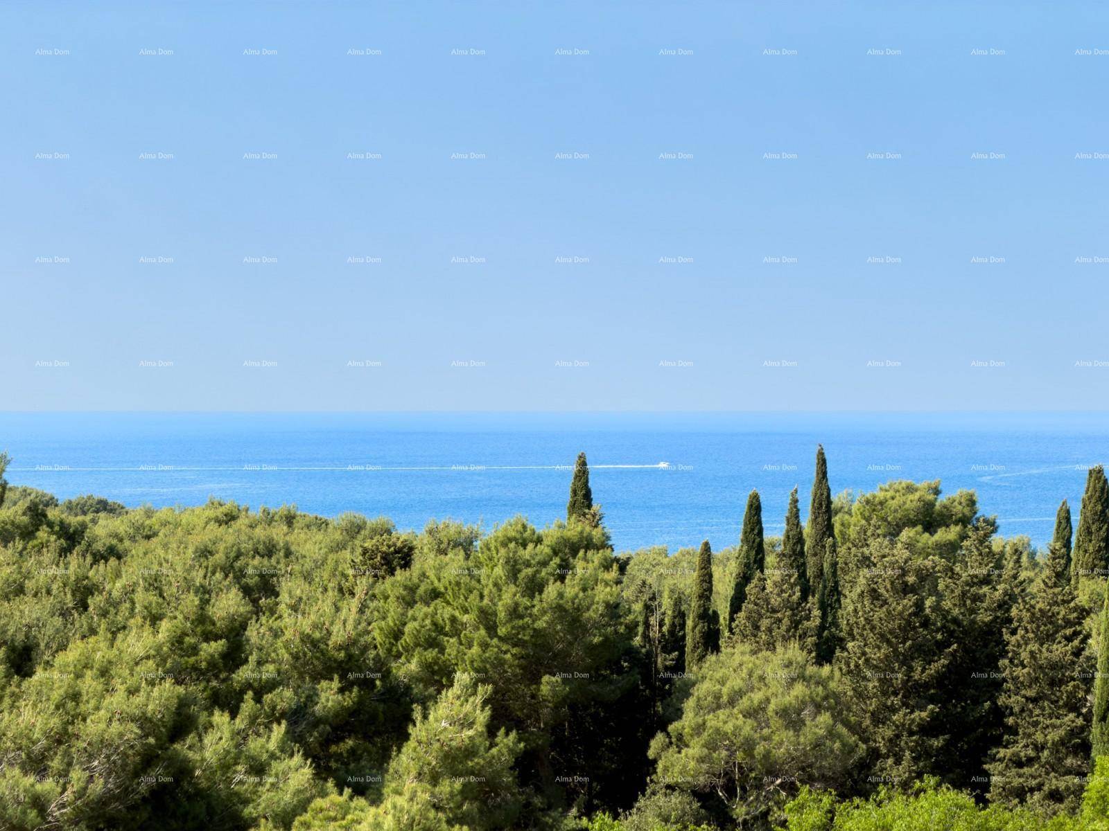 Panoramablick auf das weite Meer und die bewaldete Küstenlandschaft unter blauem Himmel.