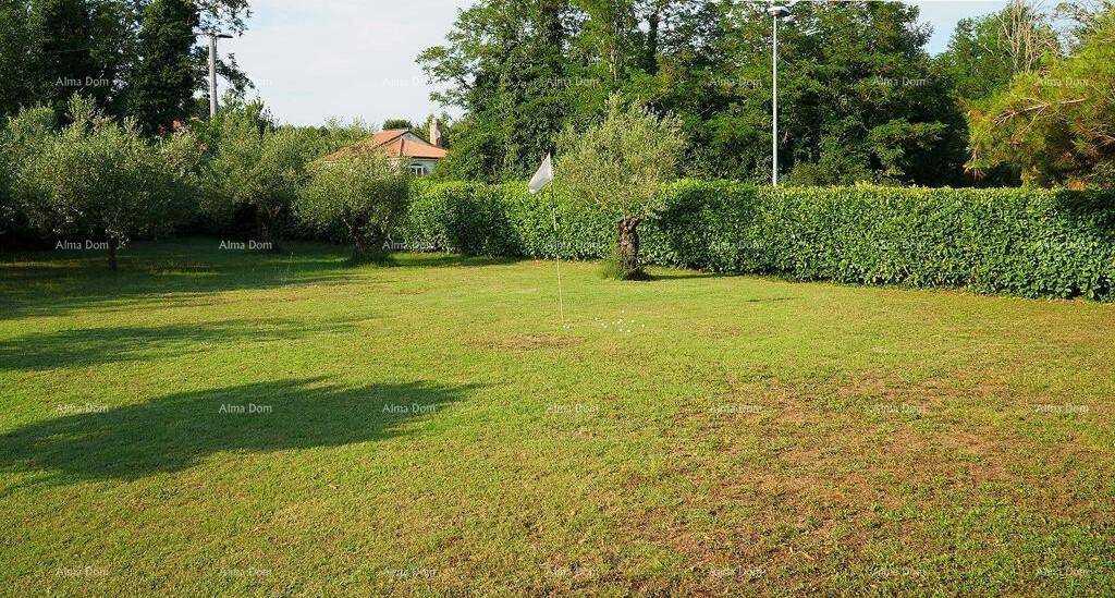 Große Rasenfläche mit einer langen Hecke im Hintergrund und einigen Olivenbäumen.