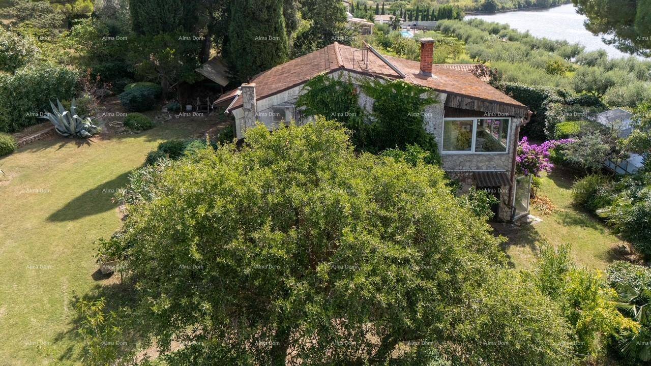 Luftaufnahme eines Hauses mit rotem Dach, umgeben von viel Grün und einem See im Hintergrund.