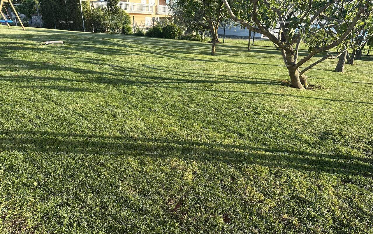 Detailaufnahme des üppigen Rasens und der Bäume im Garten, mit einem hellen Gebäude im Hintergrund.