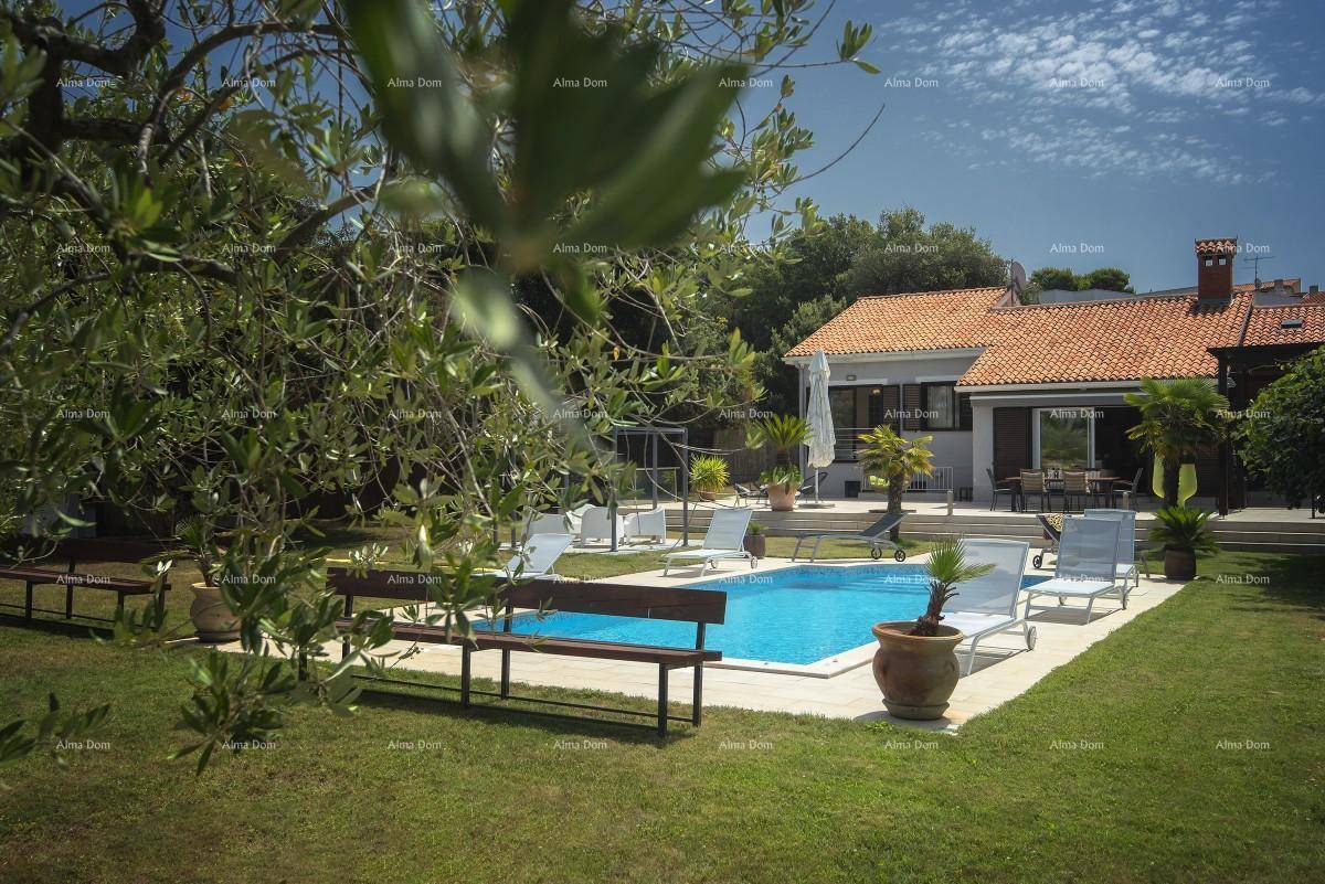 Gepflegter Garten mit Pool, Liegestühlen und schattenspendenden Bäumen.