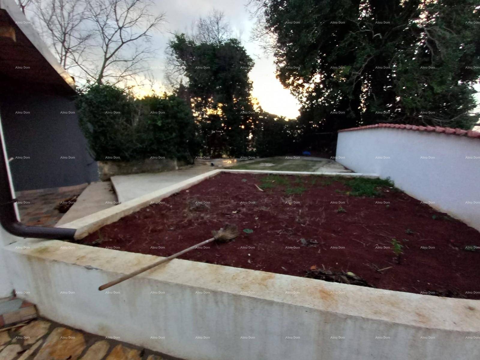 Kleiner Gartenbereich mit vorbereitetem Beet und einer Mauer, umgeben von Bäumen.