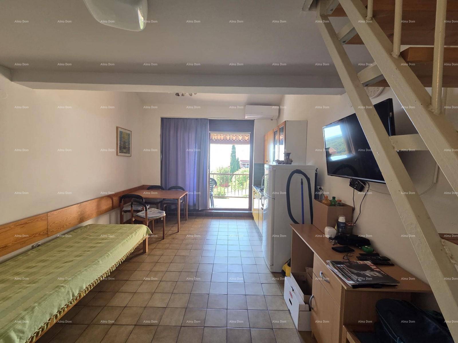 Langer Wohnbereich mit Schlafgelegenheiten, Küchenzeile und Zugang zum sonnigen Balkon.