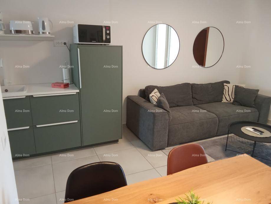 Kompakter Wohnbereich mit Küchenzeile, Sofa, Esstisch und modernen Wandspiegeln.