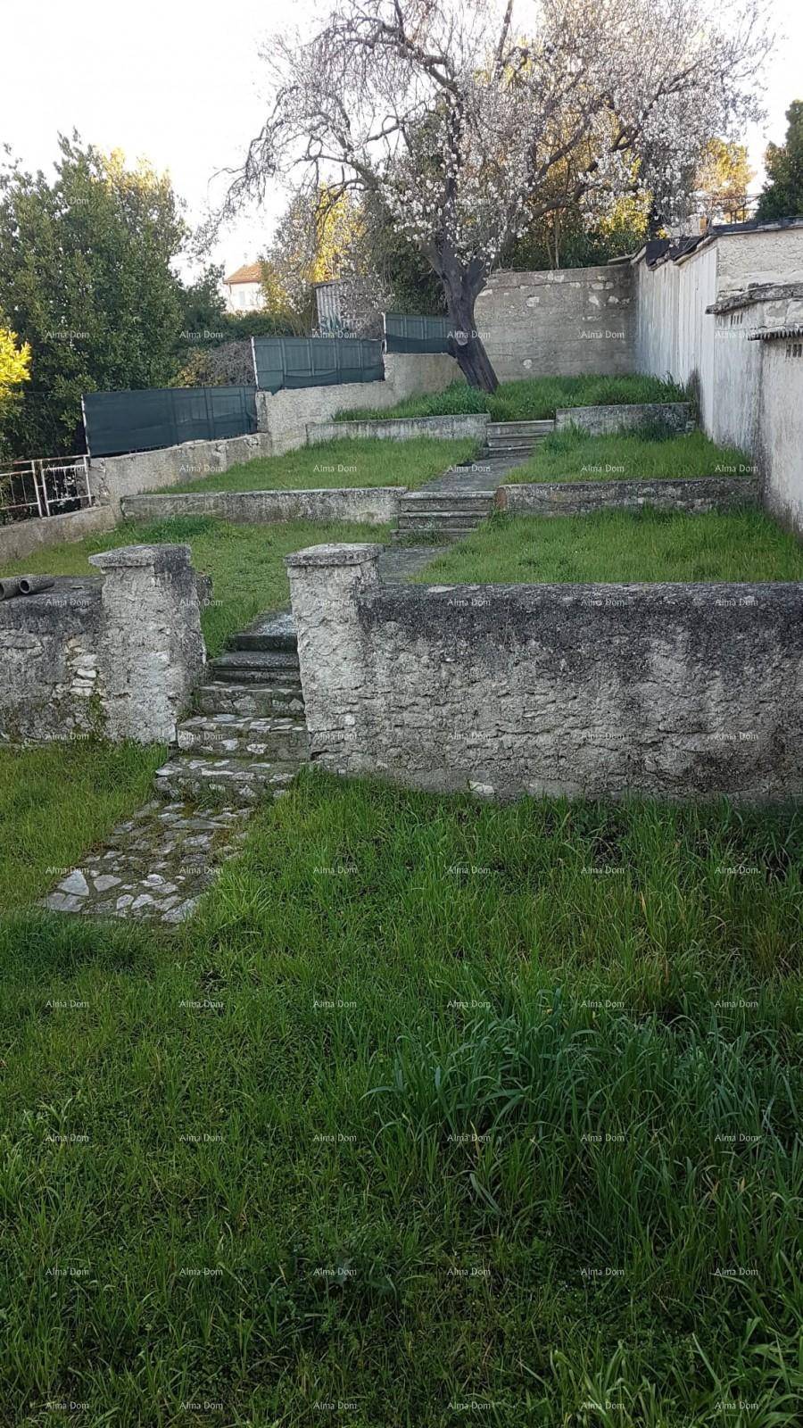 Terrassierter Garten mit Steinmauern und Stufen, die einen natürlichen Hang hinaufführen.