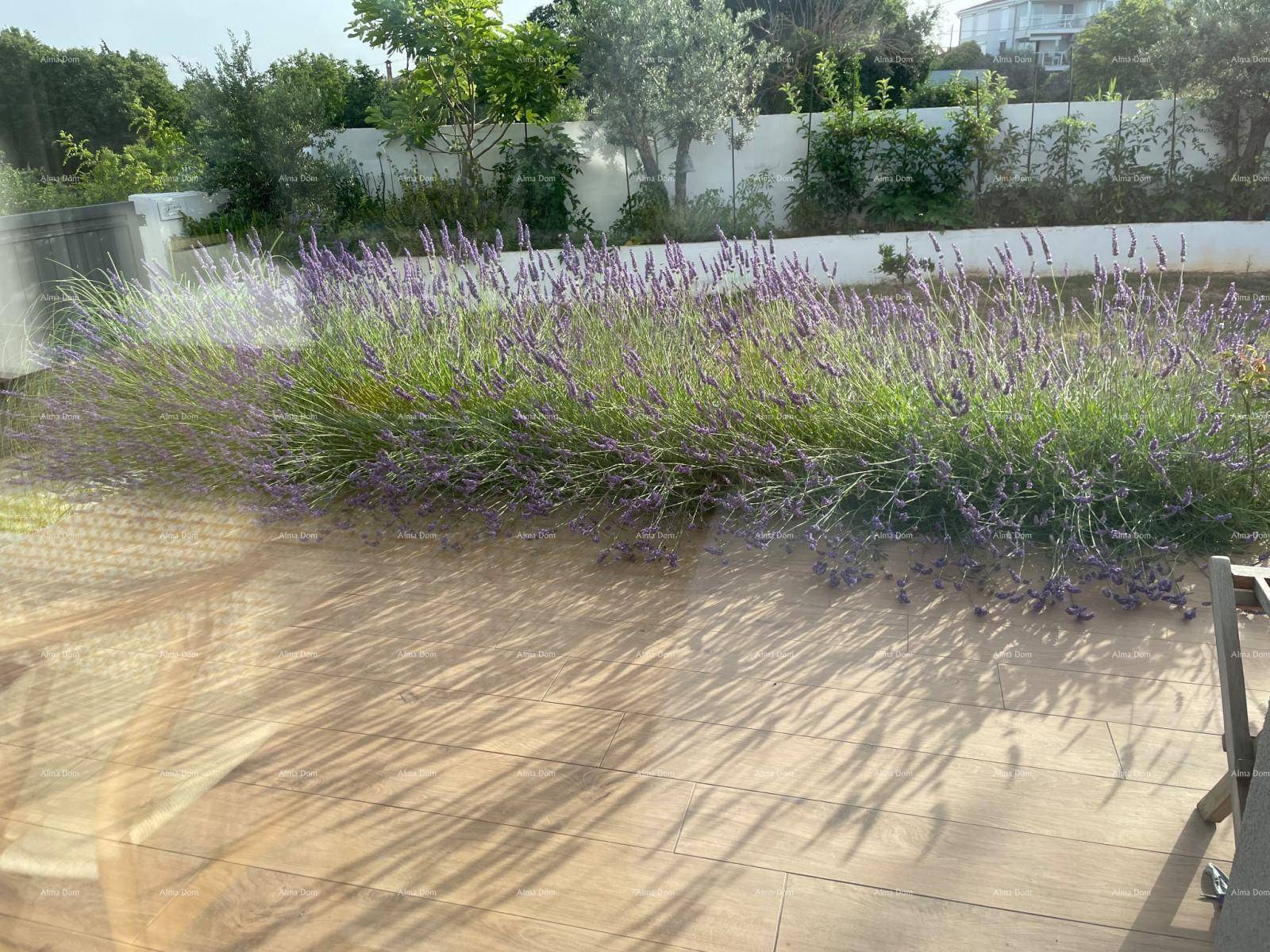 Sonniger Gartenbereich mit blühendem Lavendel und Holzboden.