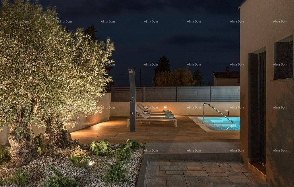 Beleuchteter Gartenbereich mit Olivenbaum, Pool und Außendusche bei Nacht.