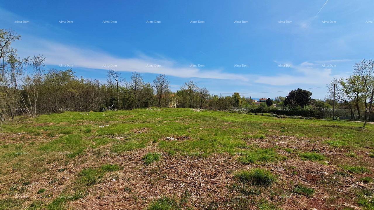 Weitläufiges, grünes Grundstück mit vereinzelten Bäumen und Blick in die Ferne unter blauem Himmel.