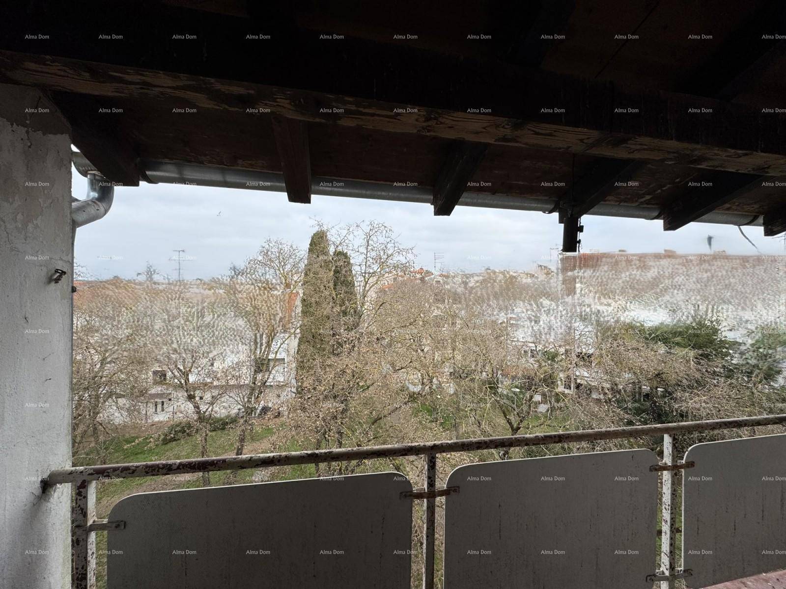 Blick von einem Balkon auf Bäume und die Dächer der umliegenden Gebäude.