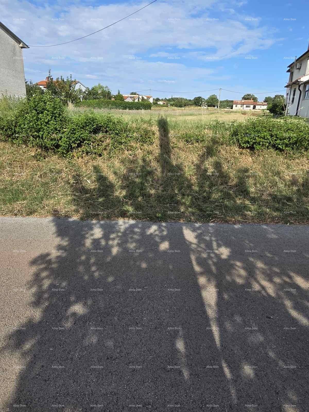 Asphaltierte Straße mit Schatten im Vordergrund, dahinter ein trockenes Feld und Häuser in der Ferne.