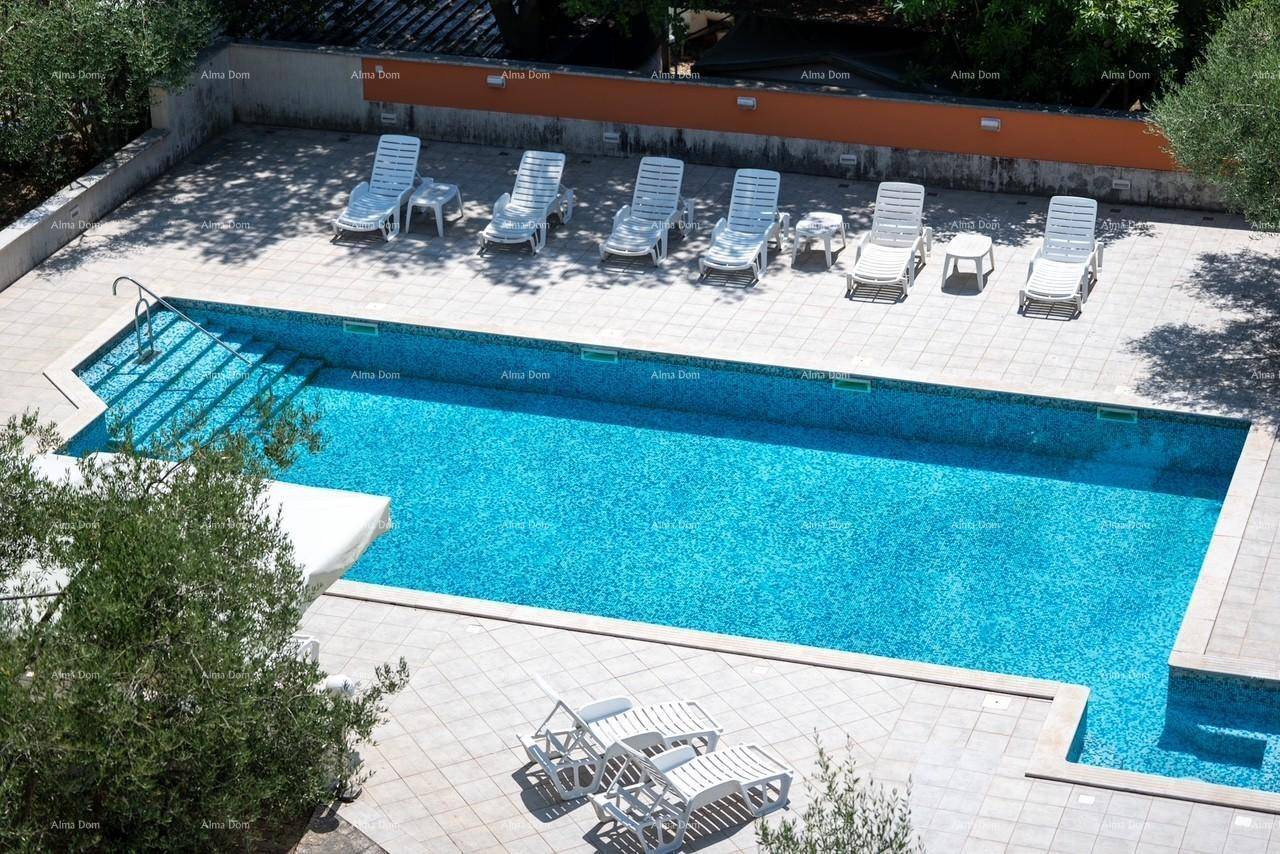 Großer Swimmingpool mit blauen Mosaikfliesen, umgeben von Liegestühlen und einer gepflegten Terrasse.