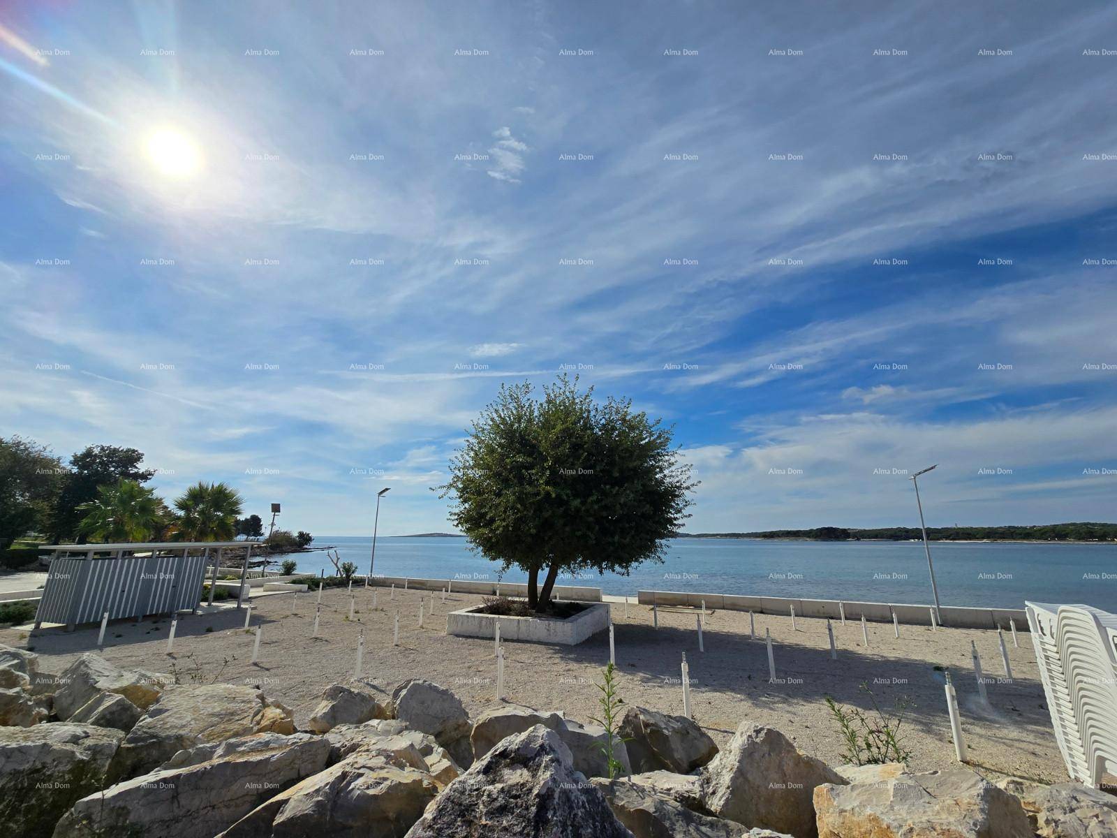 Sonniger Blick auf das Meer und die Küste mit einem einzelnen Baum im Vordergrund.