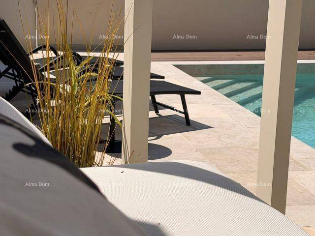 Detailaufnahme des Pools mit bequemen Sonnenliegen und dekorativen Pflanzen.