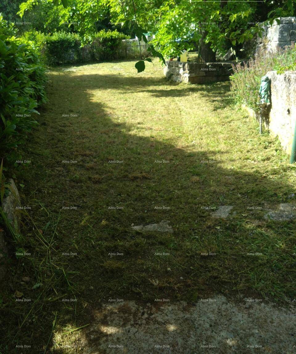 Grüne Gartenfläche mit gemähtem Gras und umgebenden Büschen, ideal für Entspannung im Freien.
