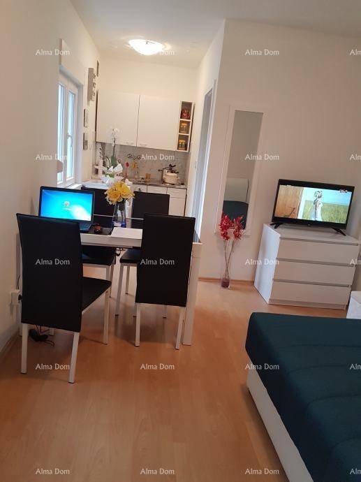 Heller offener Wohn- und Essbereich mit integrierter Küche und Schlafsofa.