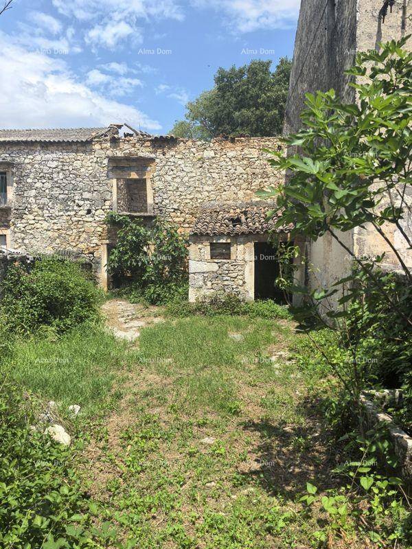 Verfallenes Steinhaus mit eingestürztem Dach und überwuchertem Grundstück, das eine Kernsanierung erfordert.