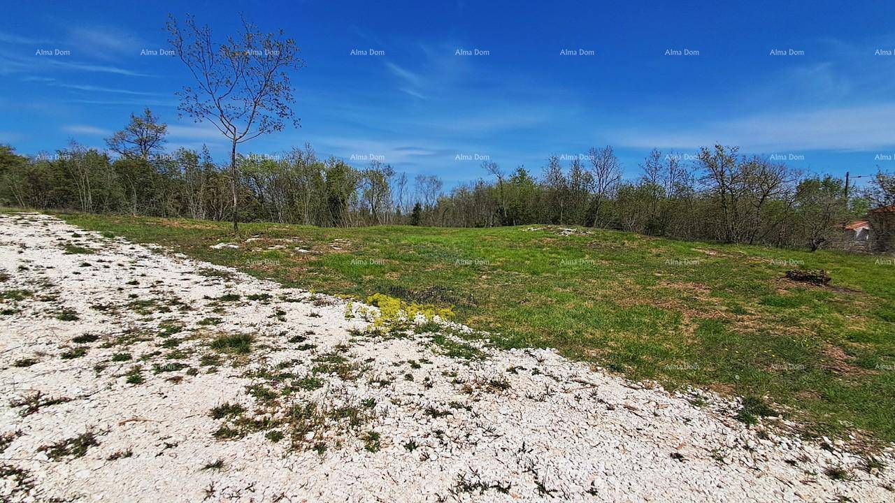 Offenes, grünes Grundstück mit Schotterflächen und Bäumen unter strahlend blauem Himmel und Sonnenschein.