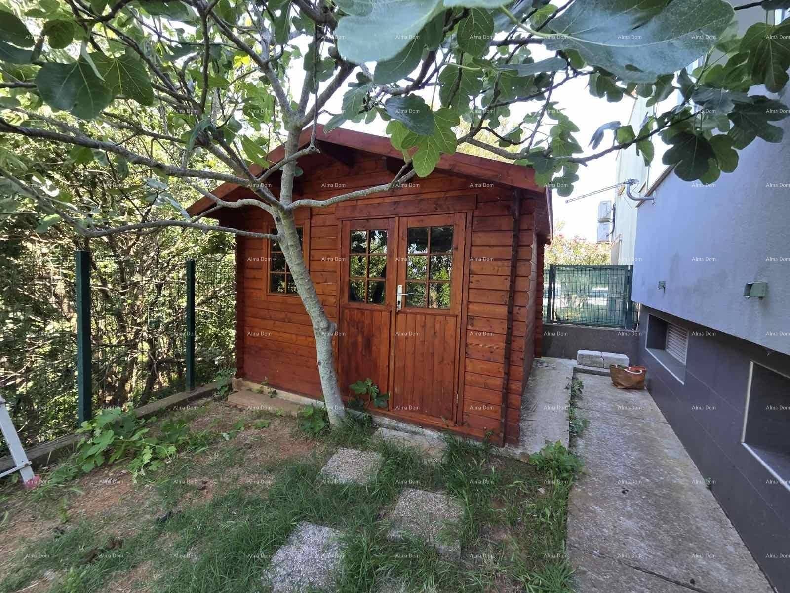 Kleiner Holzschuppen im Garten, umgeben von Bäumen und Grünflächen.