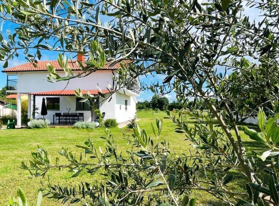 Hausansicht durch Olivenbäume im weitläufigen Garten mit Terrasse und Balkon.