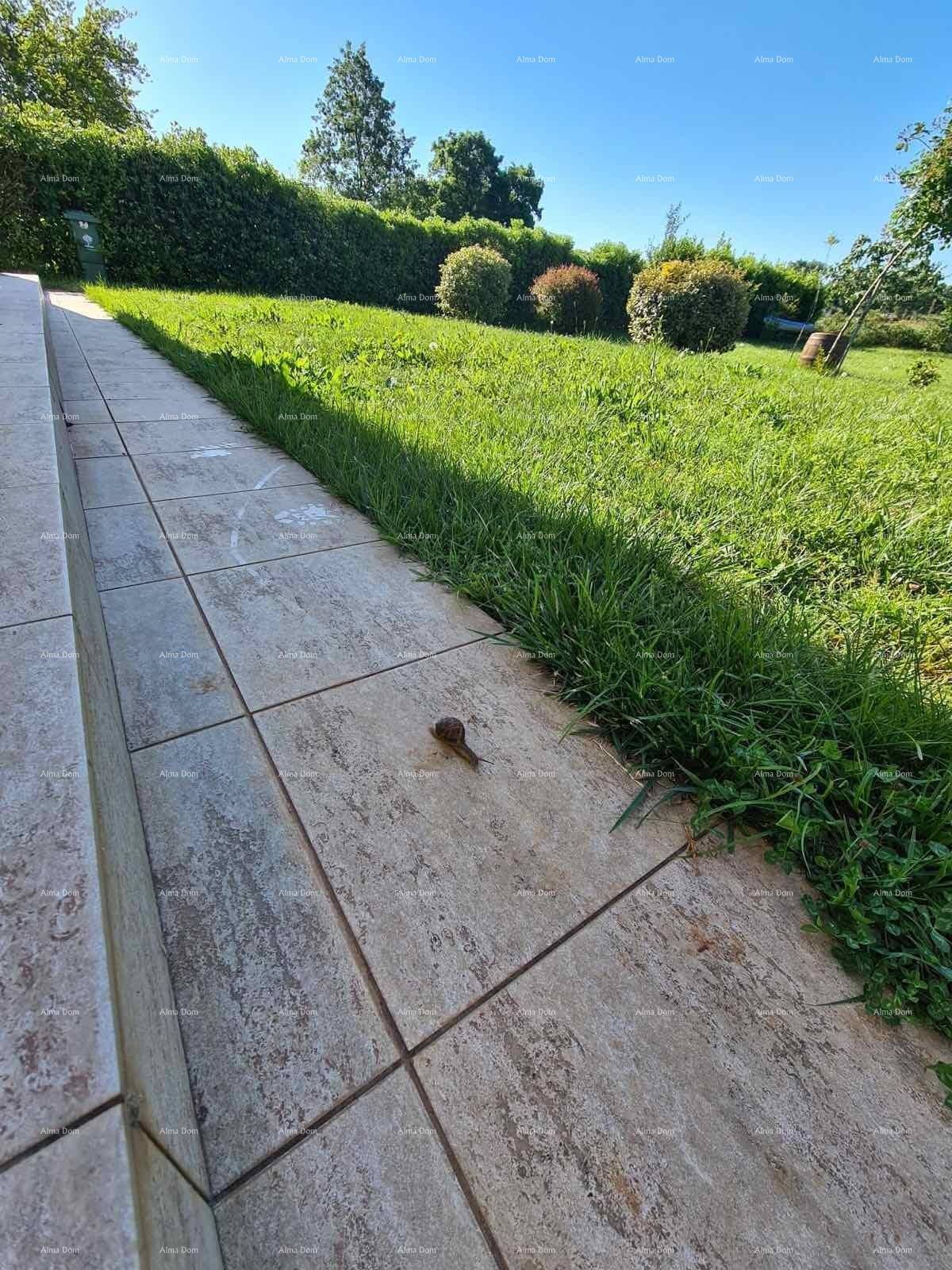 Gefliester Weg entlang der Rasenfläche im Gartenbereich des Anwesens unter blauem Himmel.