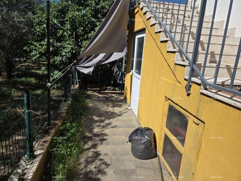 Außenbereich mit gepflastertem Weg, Treppe und einem Sonnensegel, umgeben von Grün.