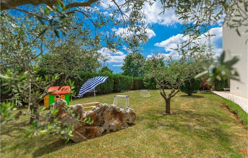 Großer, gepflegter Garten mit einem kleinen Spielbereich, Olivenbäumen und viel Grünfläche unter blauem Himmel.