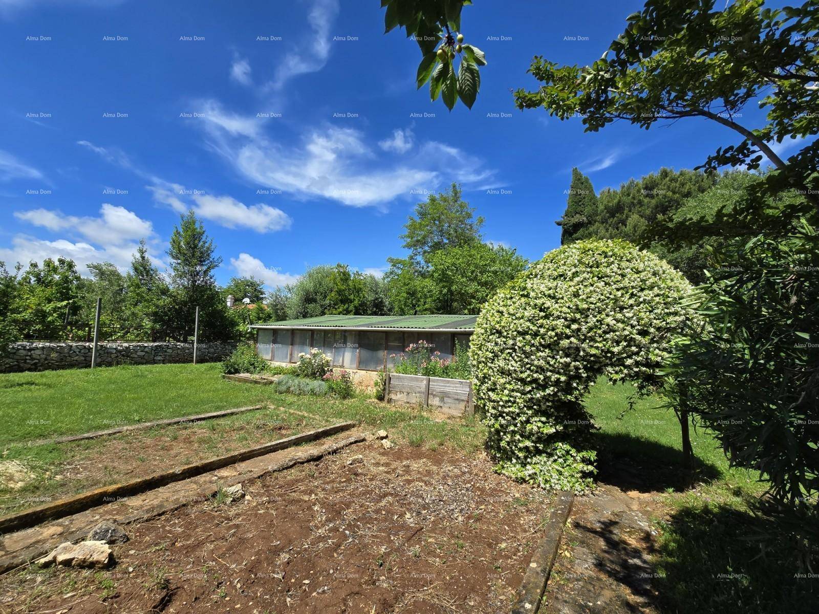 Großer Garten mit vorbereiteten Beeten und einem Gartenhaus, ideal für den Anbau von Gemüse.