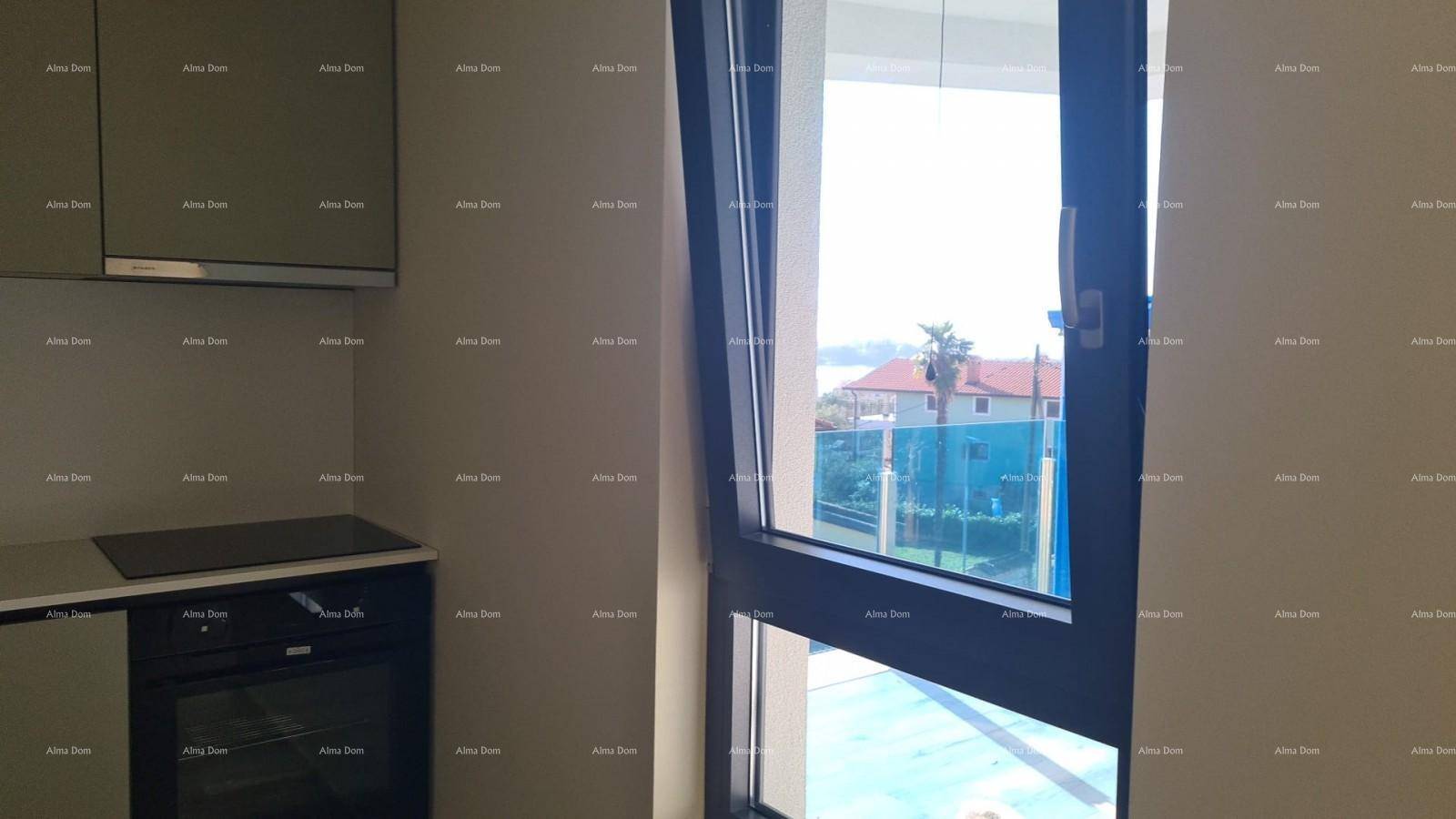 Moderne Küche mit Einbaugeräten, Induktionskochfeld und Fenster mit Meerblick.