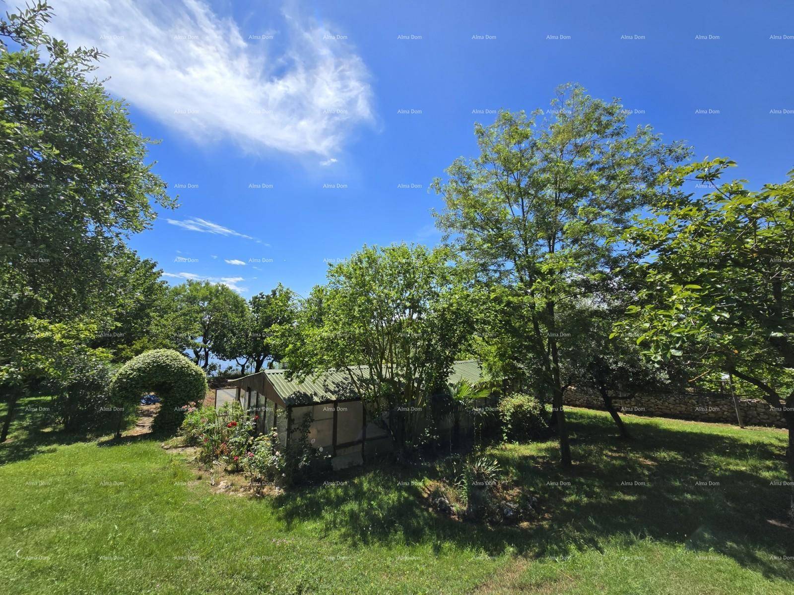 Weitläufiger Garten mit Rasenflächen, Bäumen und einem kleinen Gewächshaus oder Schuppen.