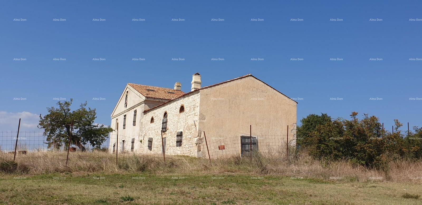 Historisches Steinhaus mit Ziegeldach unter klarem blauem Himmel, umgeben von trockener Wiese.