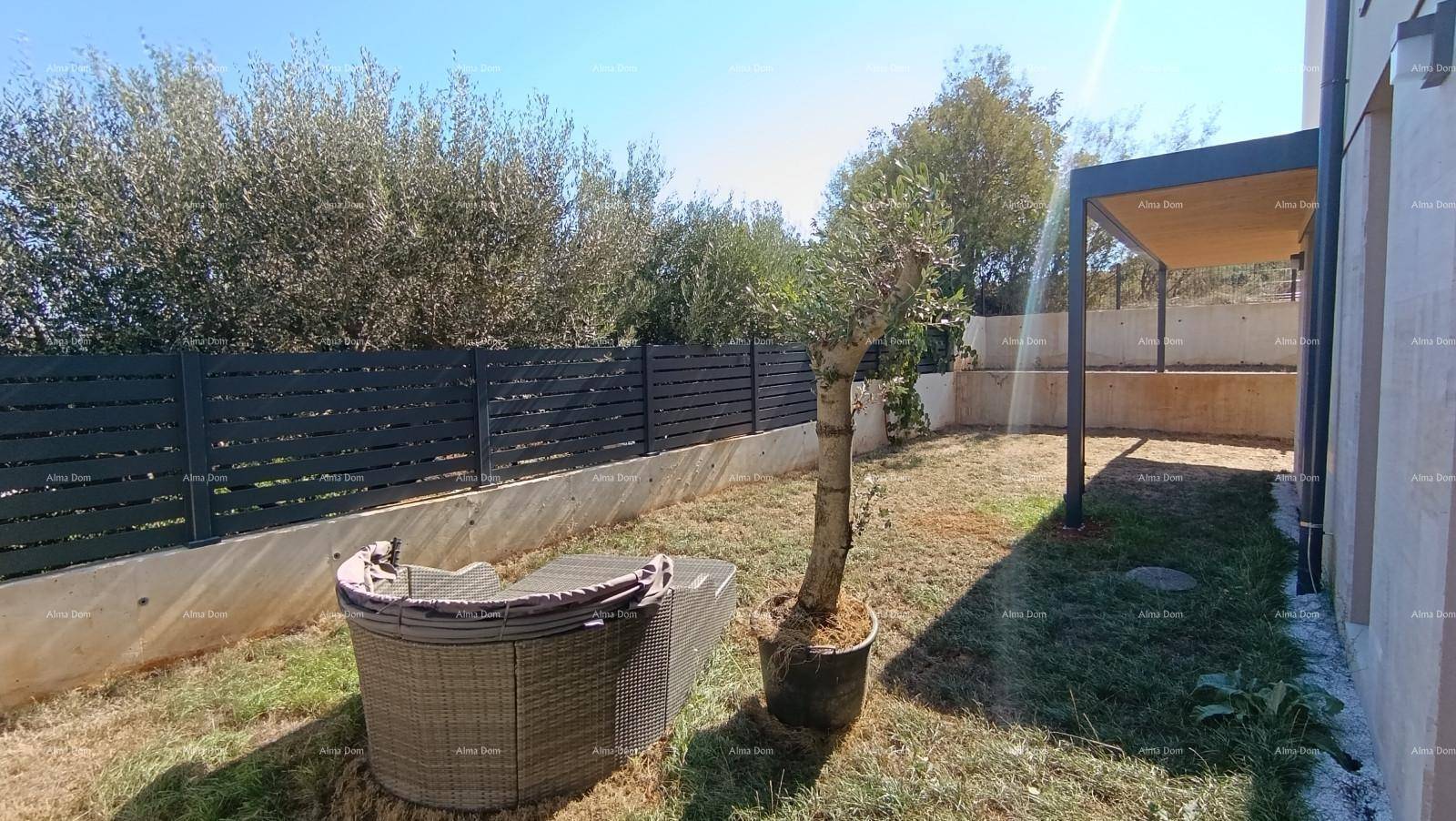Gepflegter Gartenbereich mit Rasenfläche, Olivenbaum und gemütlicher Outdoor-Liege.