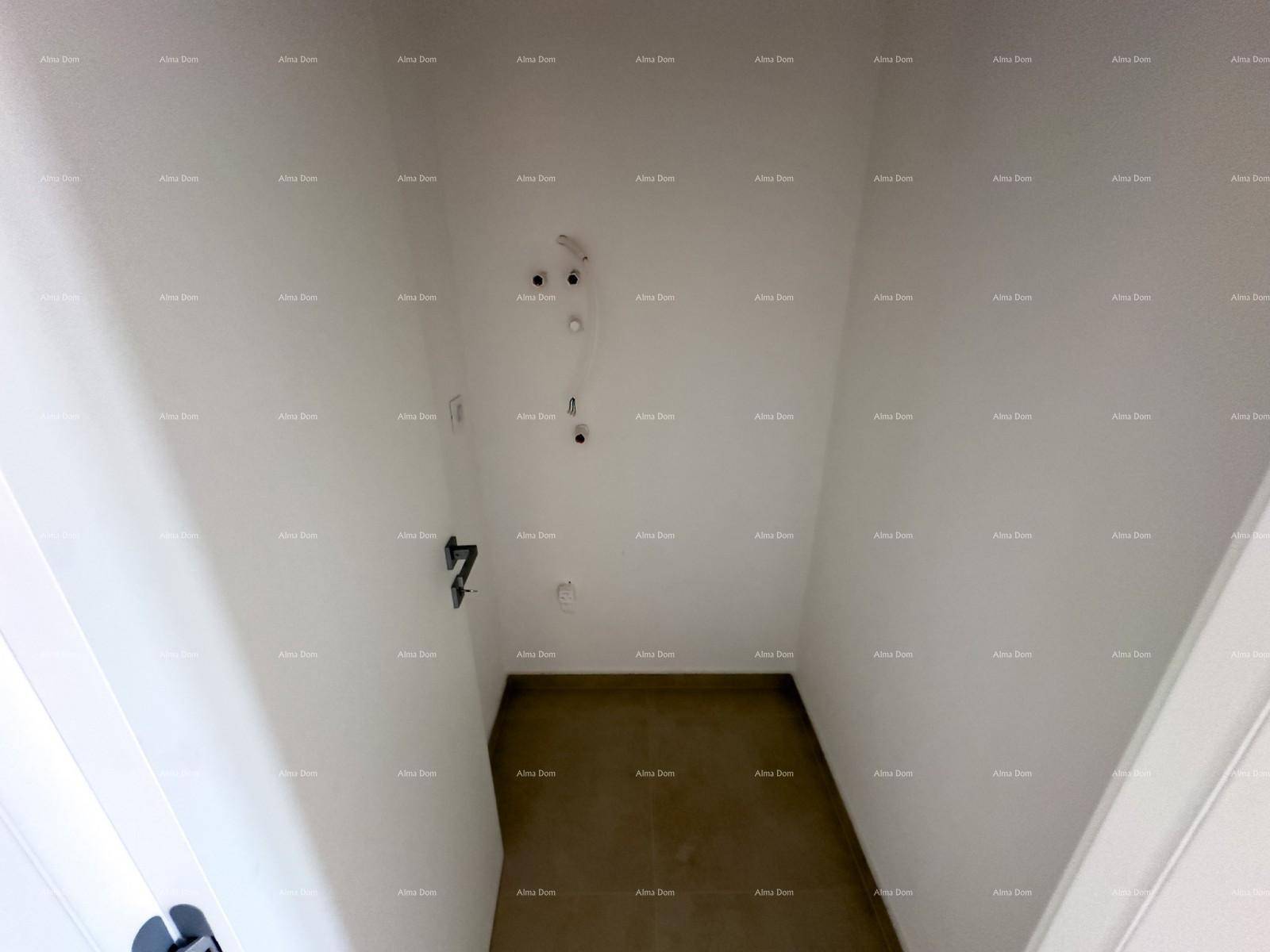 Slide 8