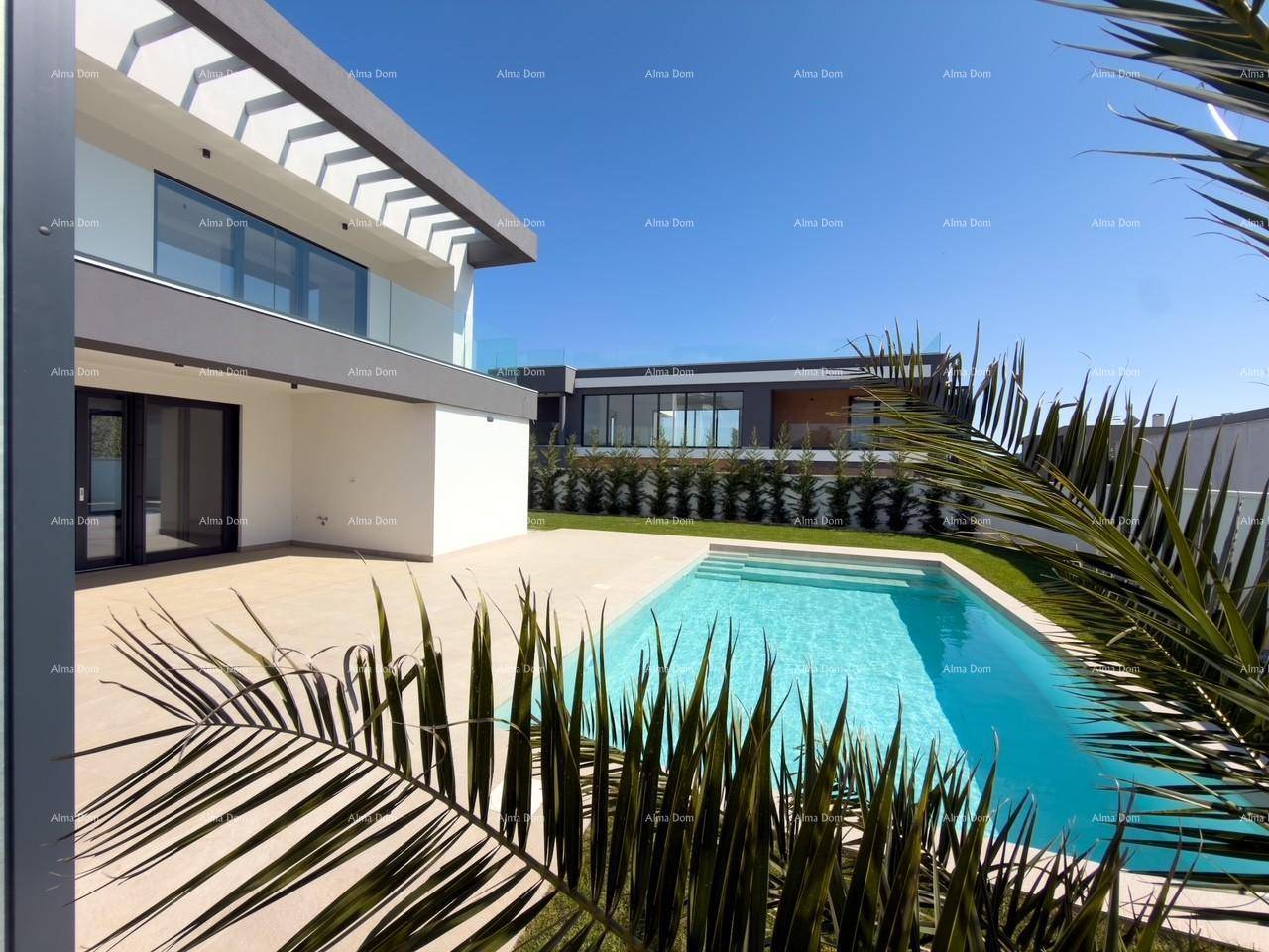 Poolbereich der modernen Villa, umgeben von Grünflächen und Palmen.