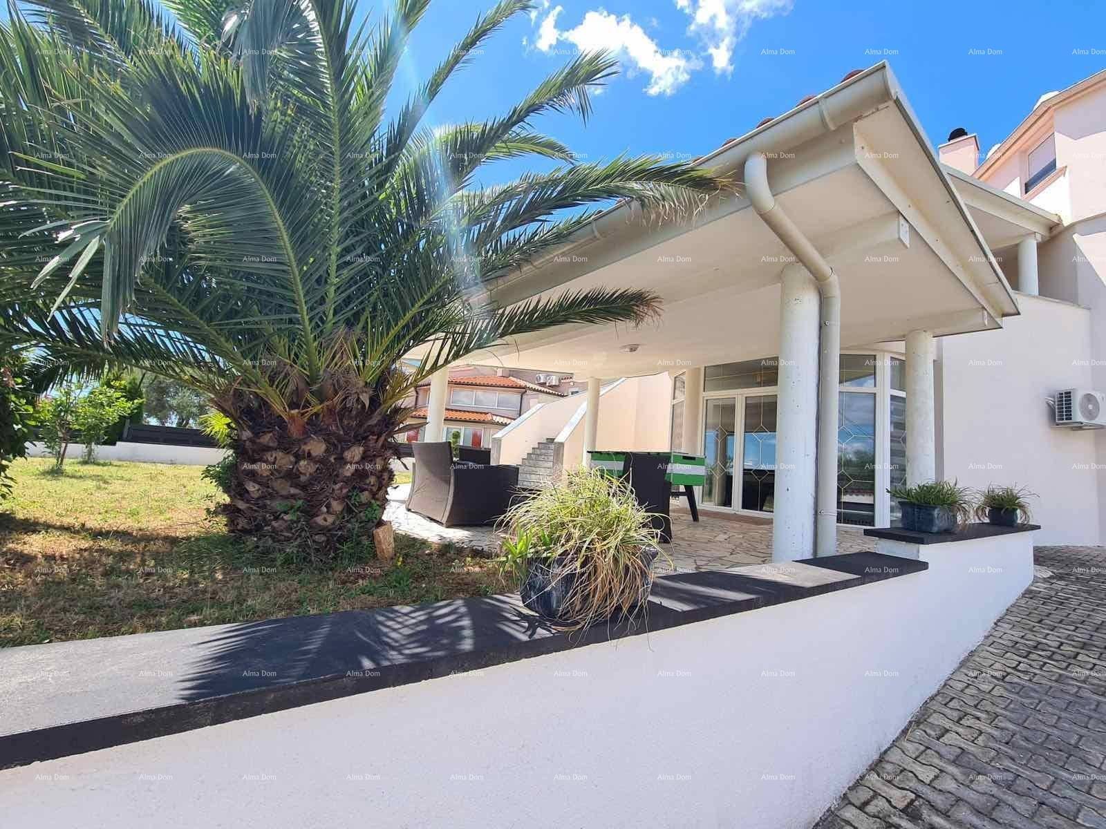 Überdachte Terrasse mit bequemen Loungemöbeln und einer Palme, umgeben von Grünflächen.