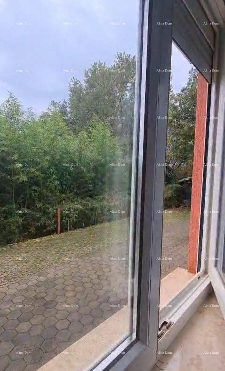 Blick aus dem Fenster auf eine gepflasterte Fläche und üppiges Grün.