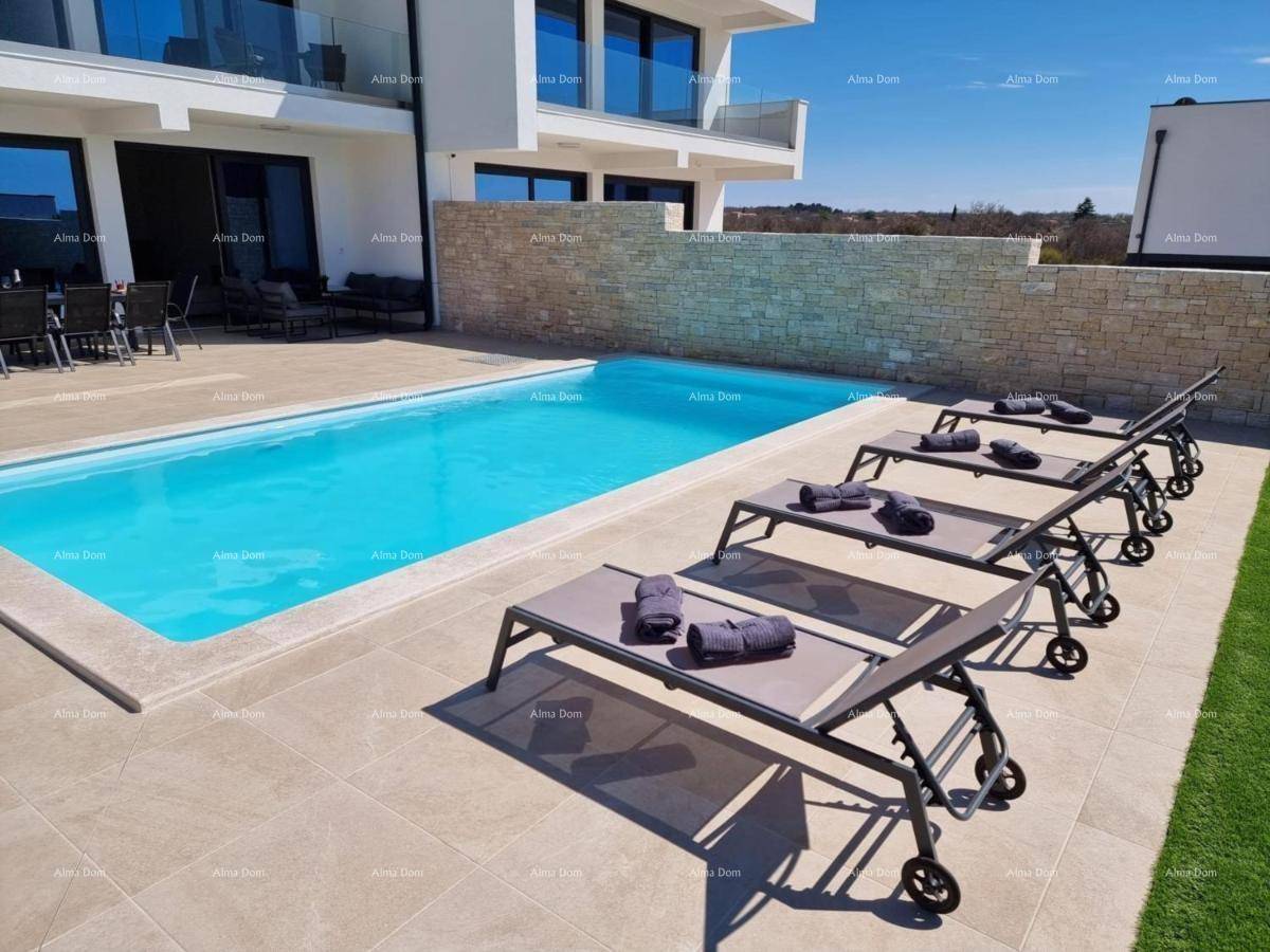Sonniger Poolbereich mit mehreren Liegestühlen und Blick auf die moderne Villa und den Rasen.