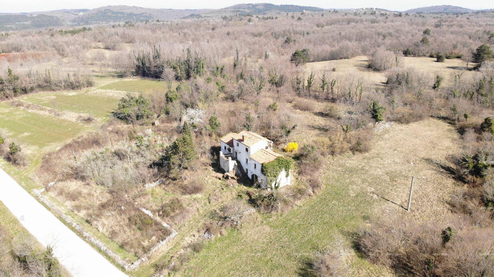 Panoramablick auf ein Anwesen in ländlicher Umgebung mit viel Grün und unberührter Natur.