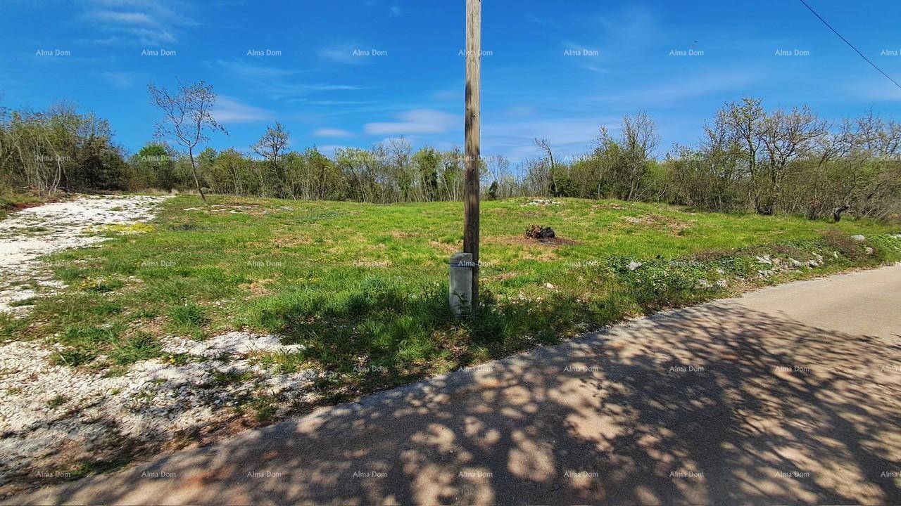Grünes Grundstück mit einem Strommast und Blick auf die umgebende Naturlandschaft und Bäume.