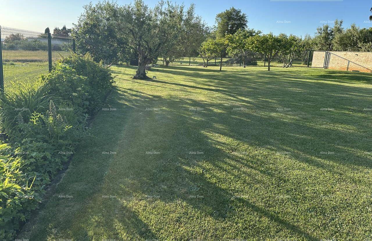 Sonniger Gartenbereich mit weitläufigem Rasen, verschiedenen Bäumen und einem Zaun am Rand des Grundstücks.