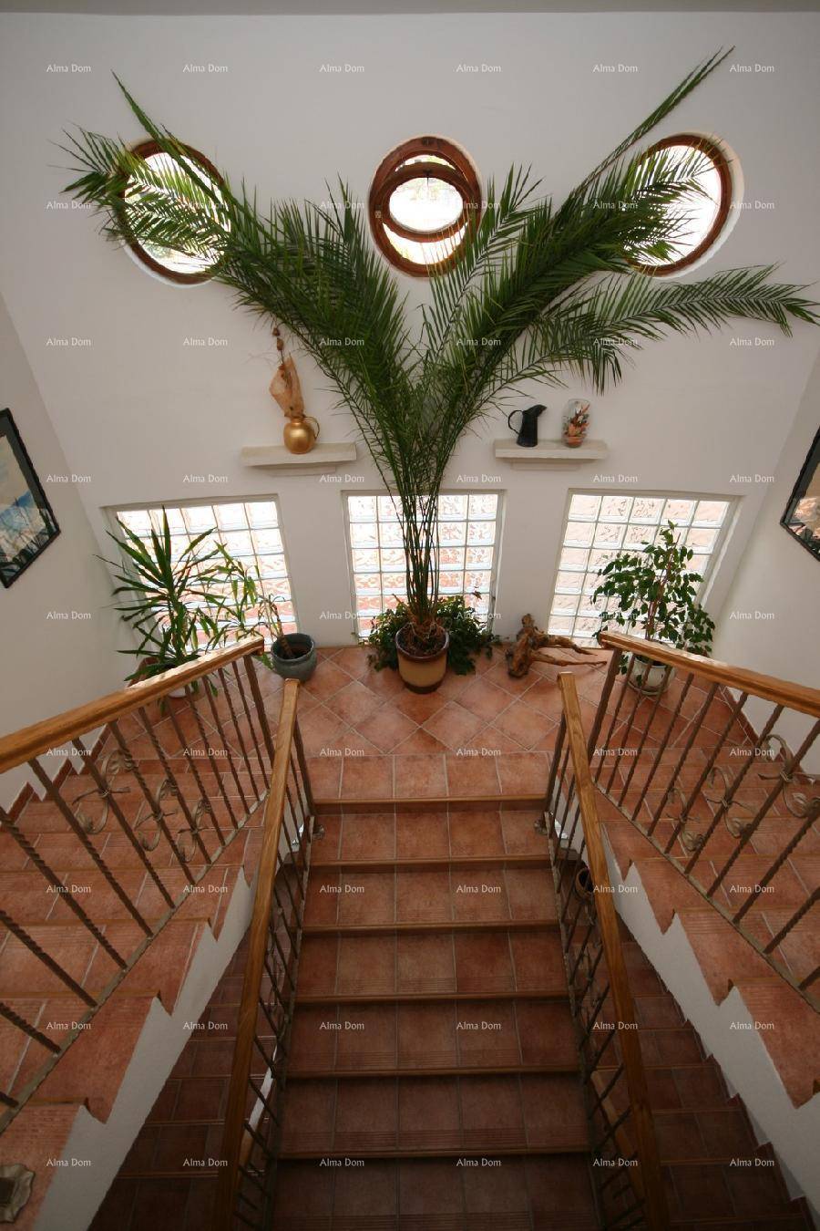 Heller Treppenabsatz mit großer Palme, vielen Fenstern und Terrakottafliesen, die viel Licht hereinlassen.