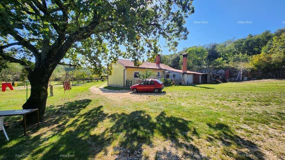 Das gelbe Haus, umgeben von viel Grün, gesehen von einem schattigen Platz unter einem großen Baum.