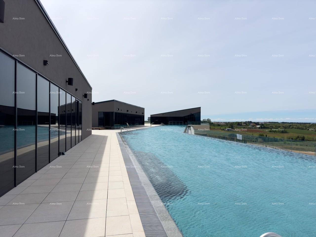 Langer Infinity-Pool neben einem modernen Gebäude mit großen Fenstern, mit weitem Blick auf Meer und Landschaft.