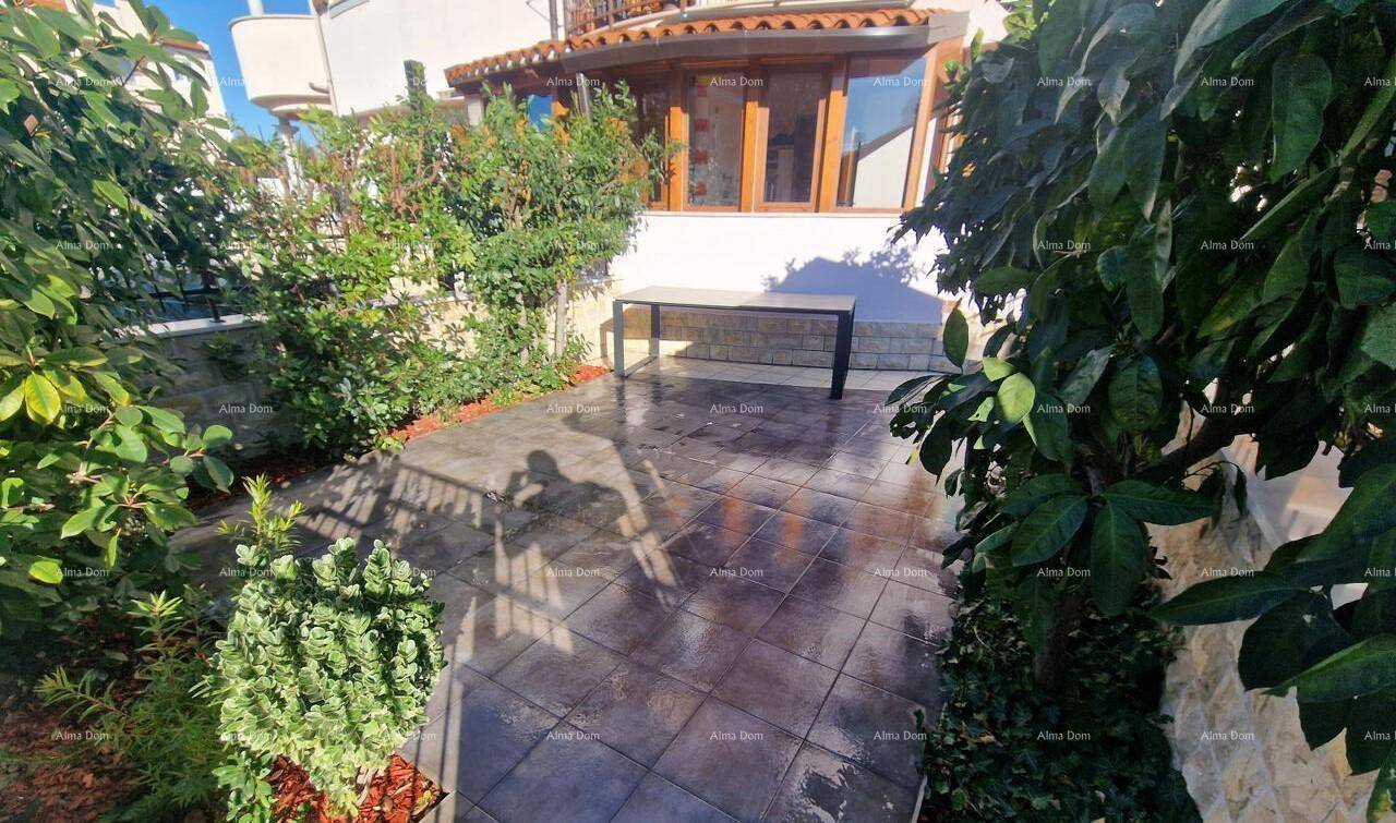 Gepflasterte Terrasse mit einem Tisch, umgeben von grünen Pflanzen und Sträuchern.