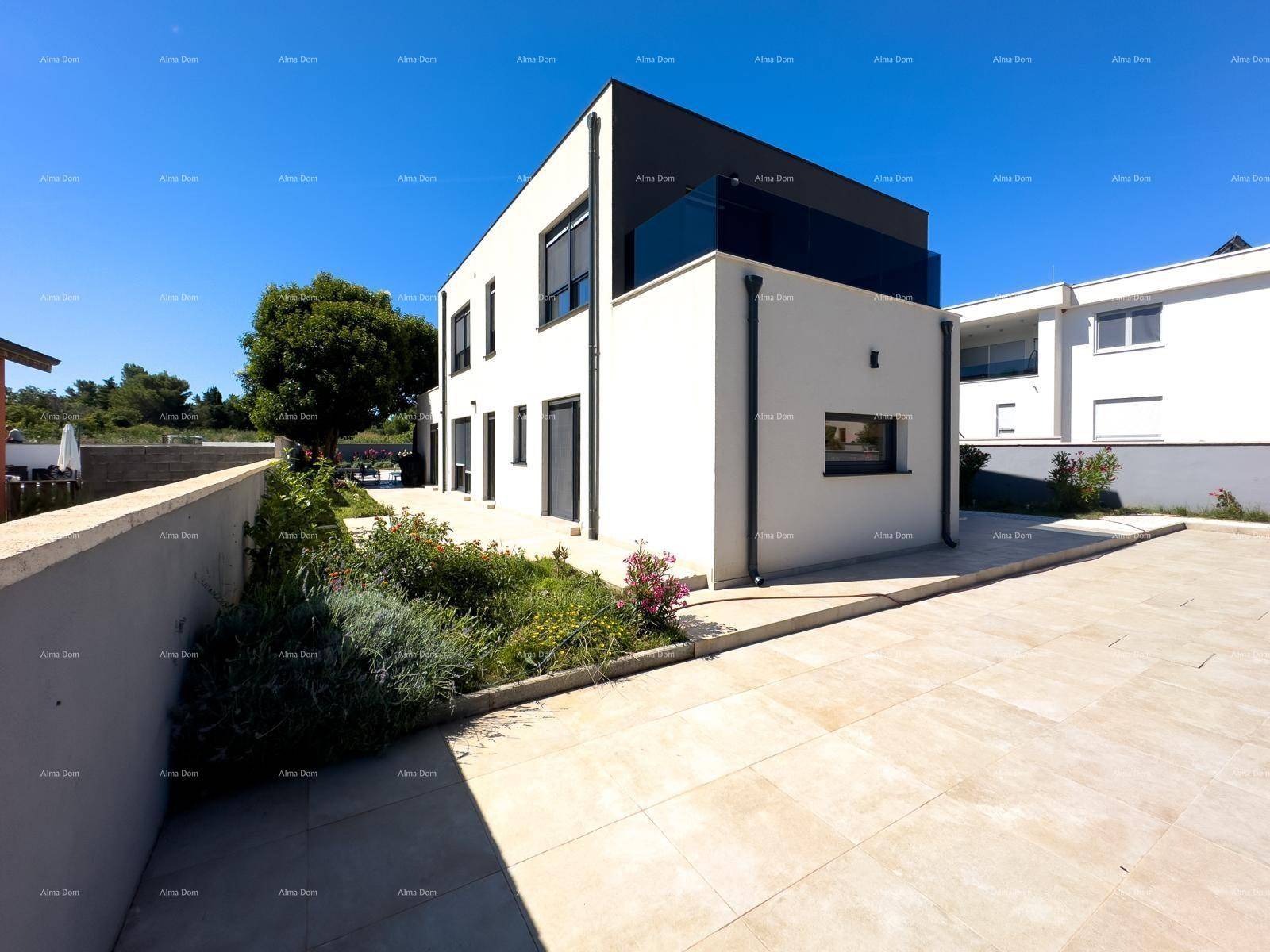 Seitenansicht der modernen Villa mit großzügiger Pflasterfläche und bepflanztem Gartenstreifen.