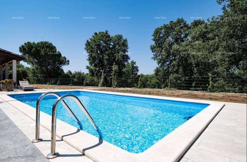 Klarer Swimmingpool mit Einstiegsleiter, umgeben von einer gepflegten Terrasse und grüner Landschaft.
