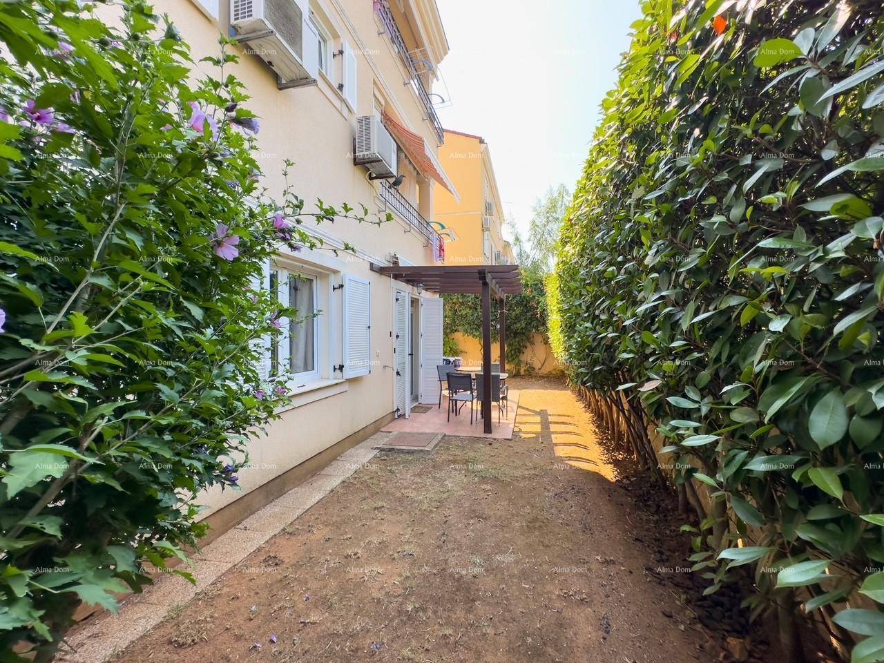 Gepflegter Gartenbereich mit Terrasse und Pergola, umgeben von einer hohen Hecke, ideal zum Entspannen.