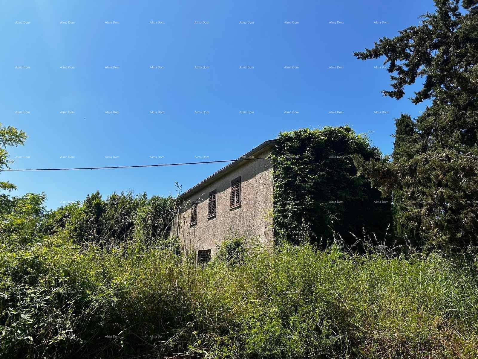 Seitenansicht des alten Hauses, vollständig von Efeu bedeckt und von hohem Gras umgeben.