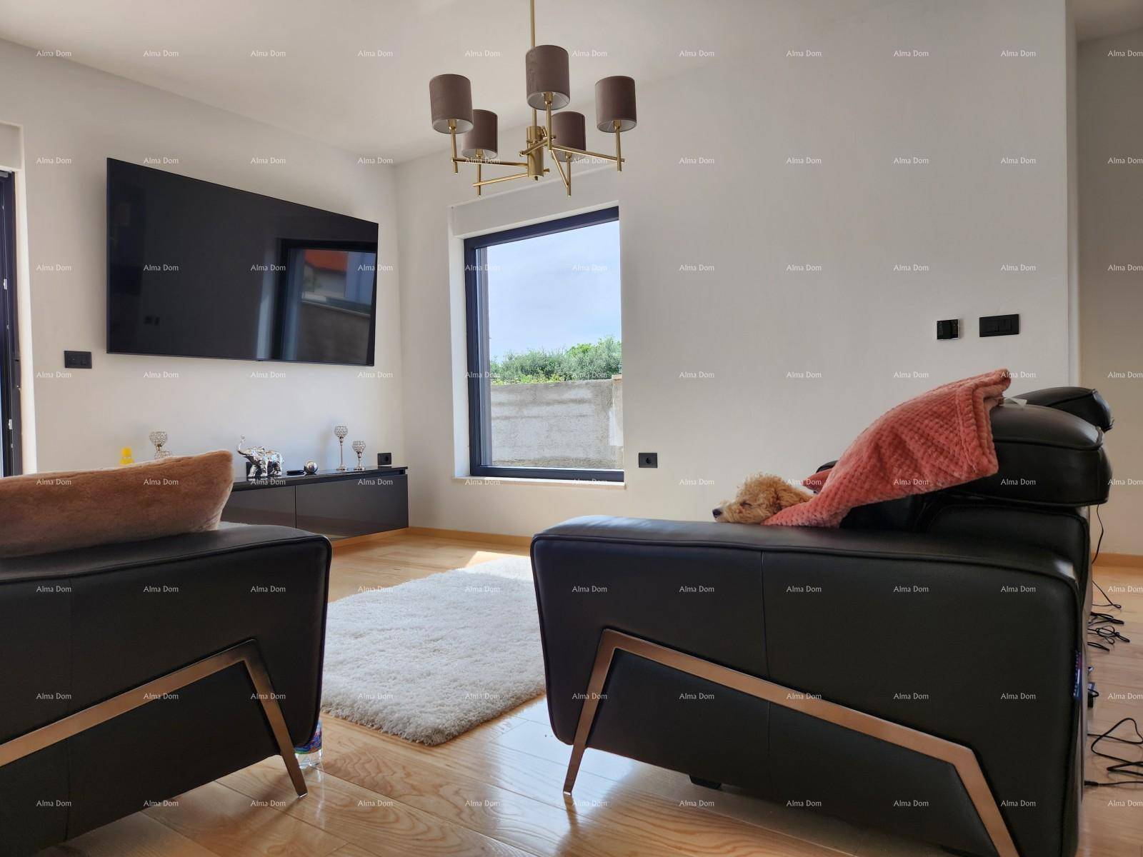 Geräumiges Wohnzimmer mit zwei eleganten Sofas, großem Wandfernseher und viel natürlichem Licht.